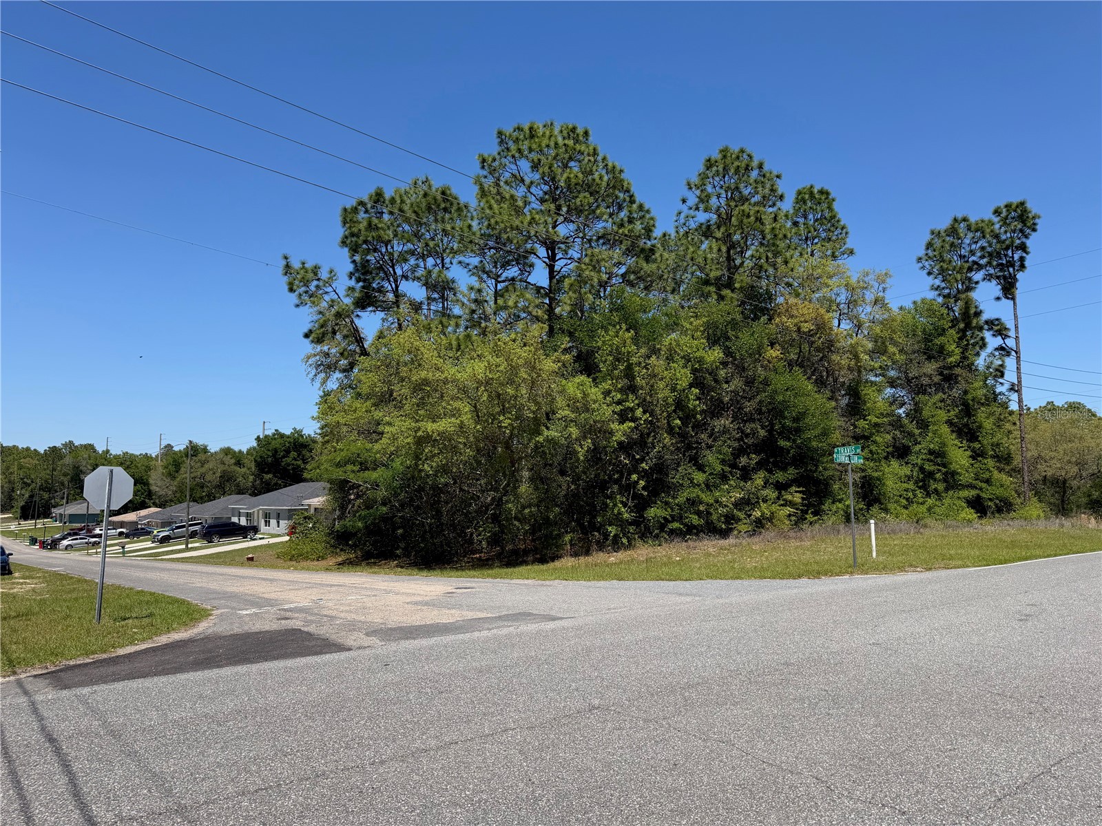 8975 N Travis Drive Citrus Springs FL 34434 O6398041 image1