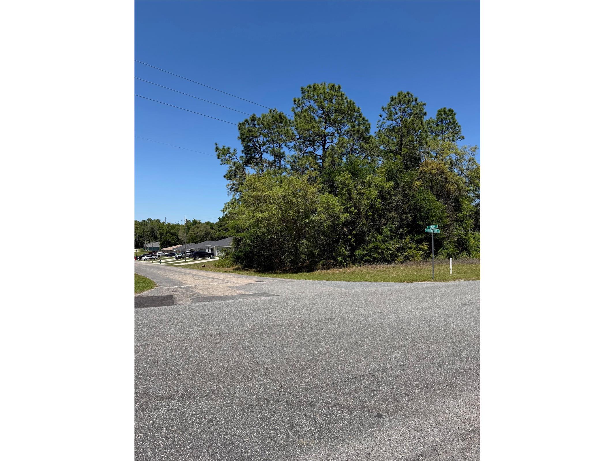 8975 N Travis Drive Citrus Springs FL 34434 O6398041 image2
