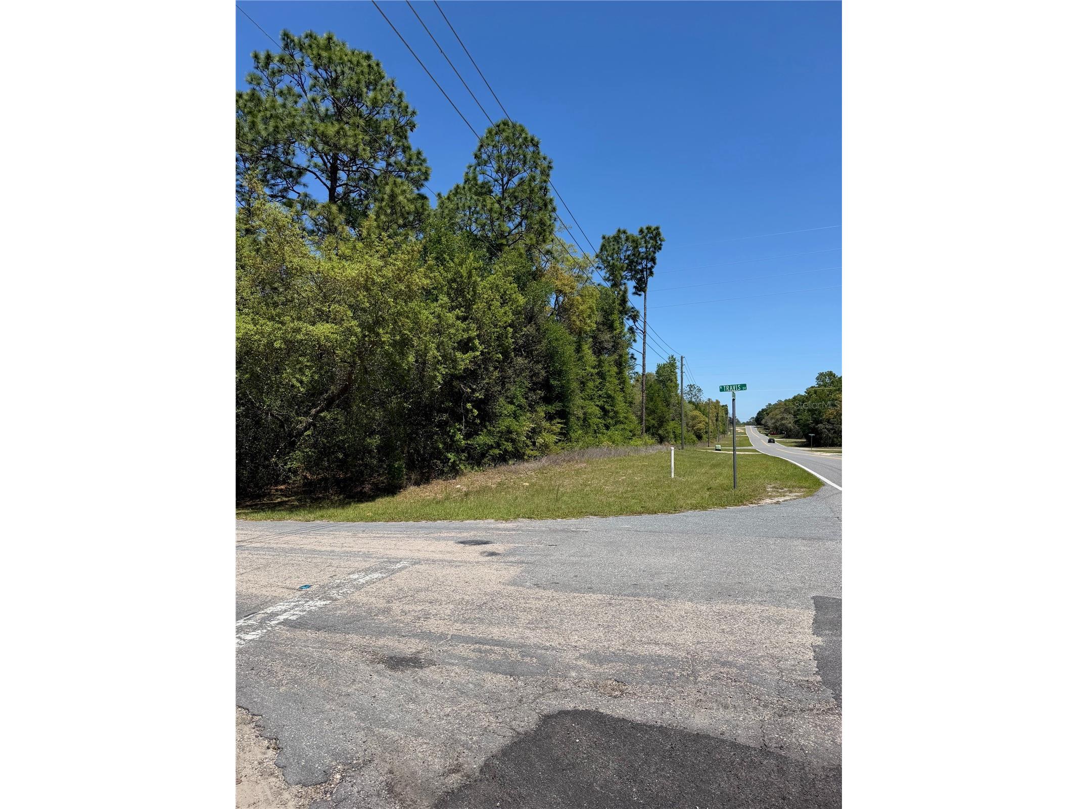 8975 N Travis Drive Citrus Springs FL 34434 O6398041 image3