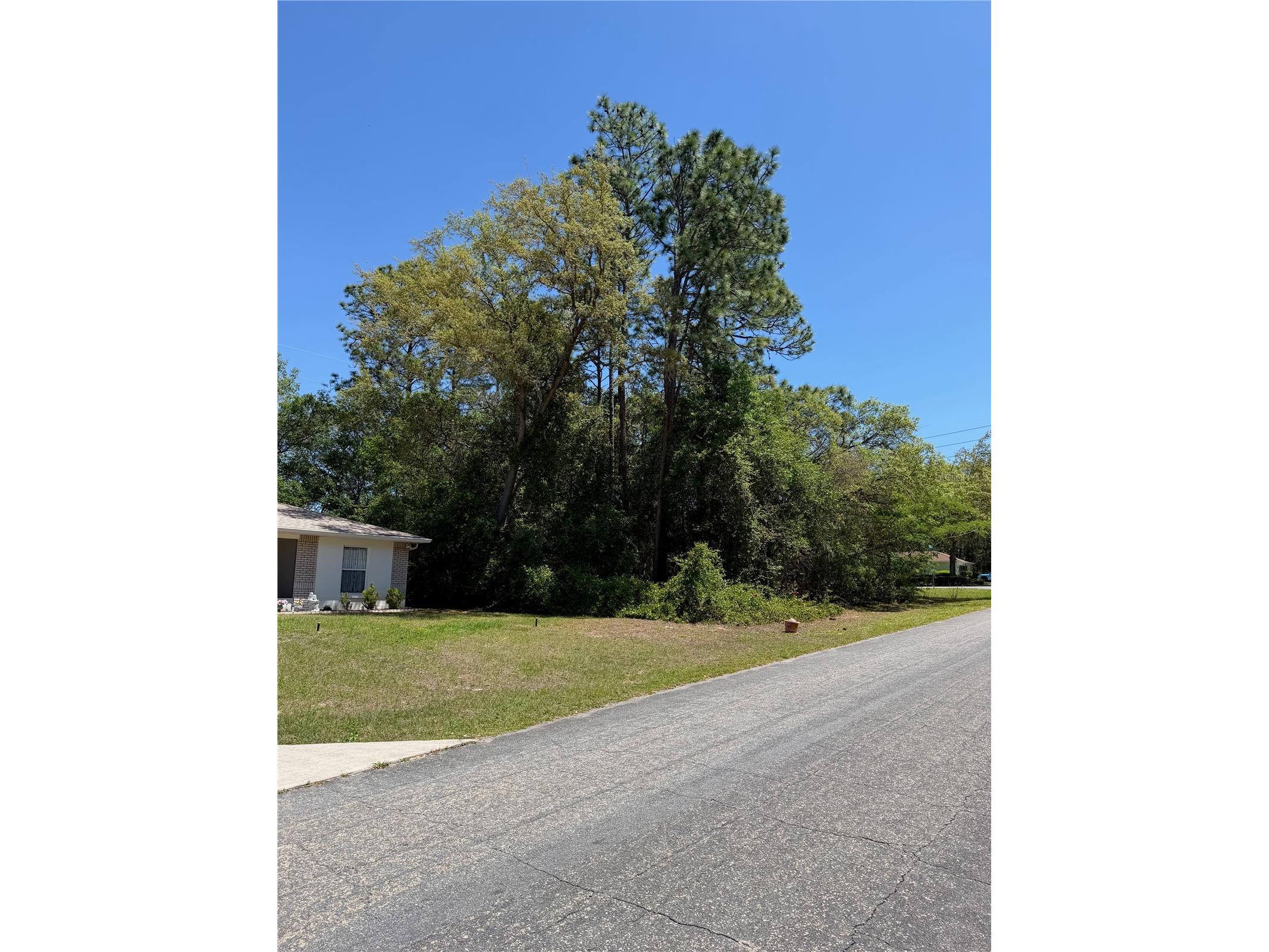 8975 N Travis Drive Citrus Springs FL 34434 O6398041 image4