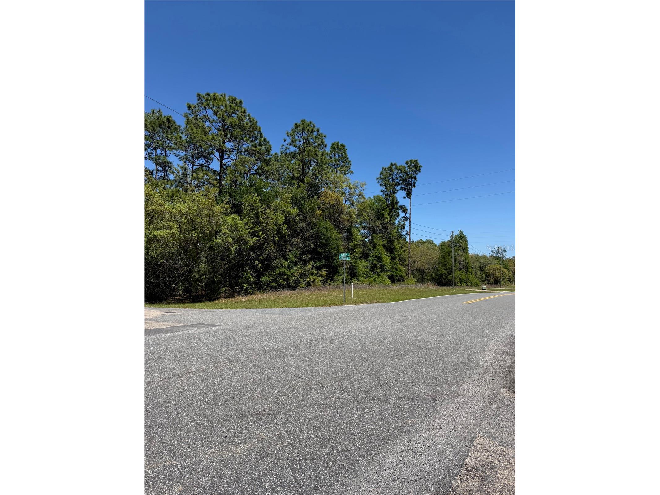 8975 N Travis Drive Citrus Springs FL 34434 O6398041 image5