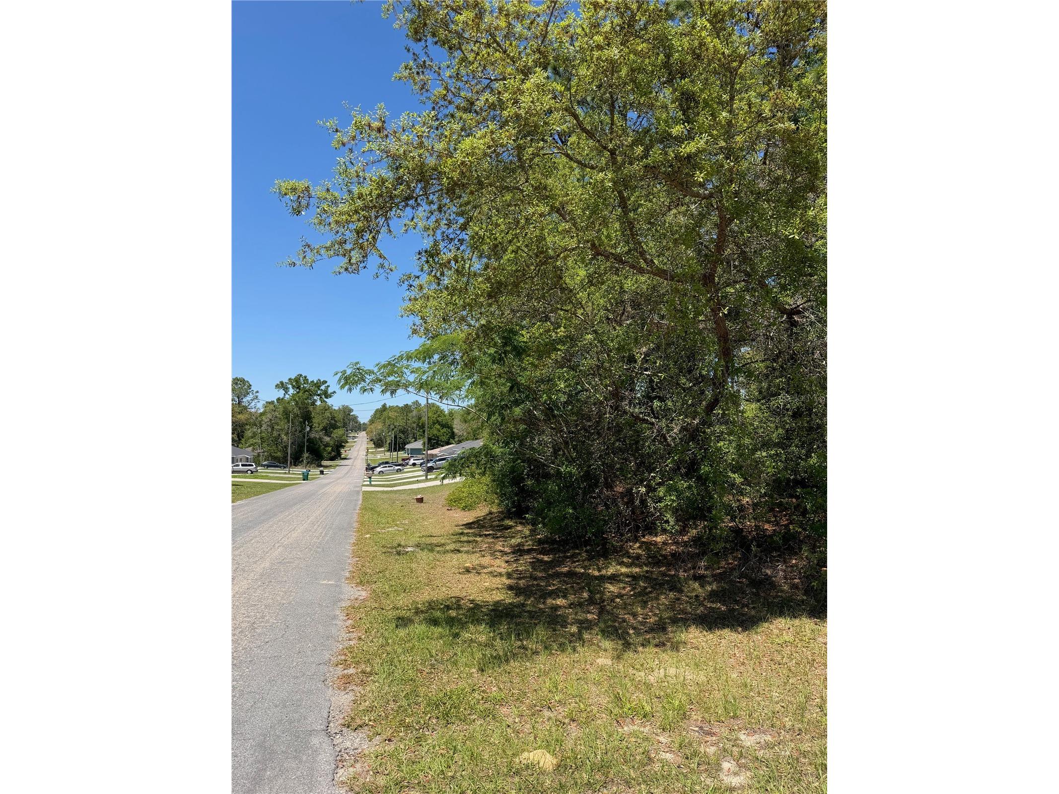 8975 N Travis Drive Citrus Springs FL 34434 O6398041 image6