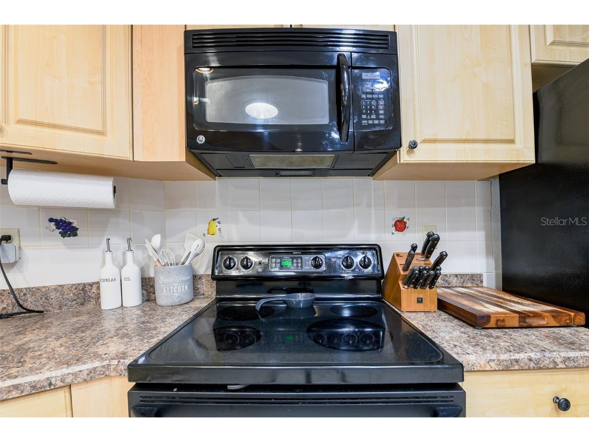 8976 Lake Drive New Port Richey FL 34654 TB8430996 image18