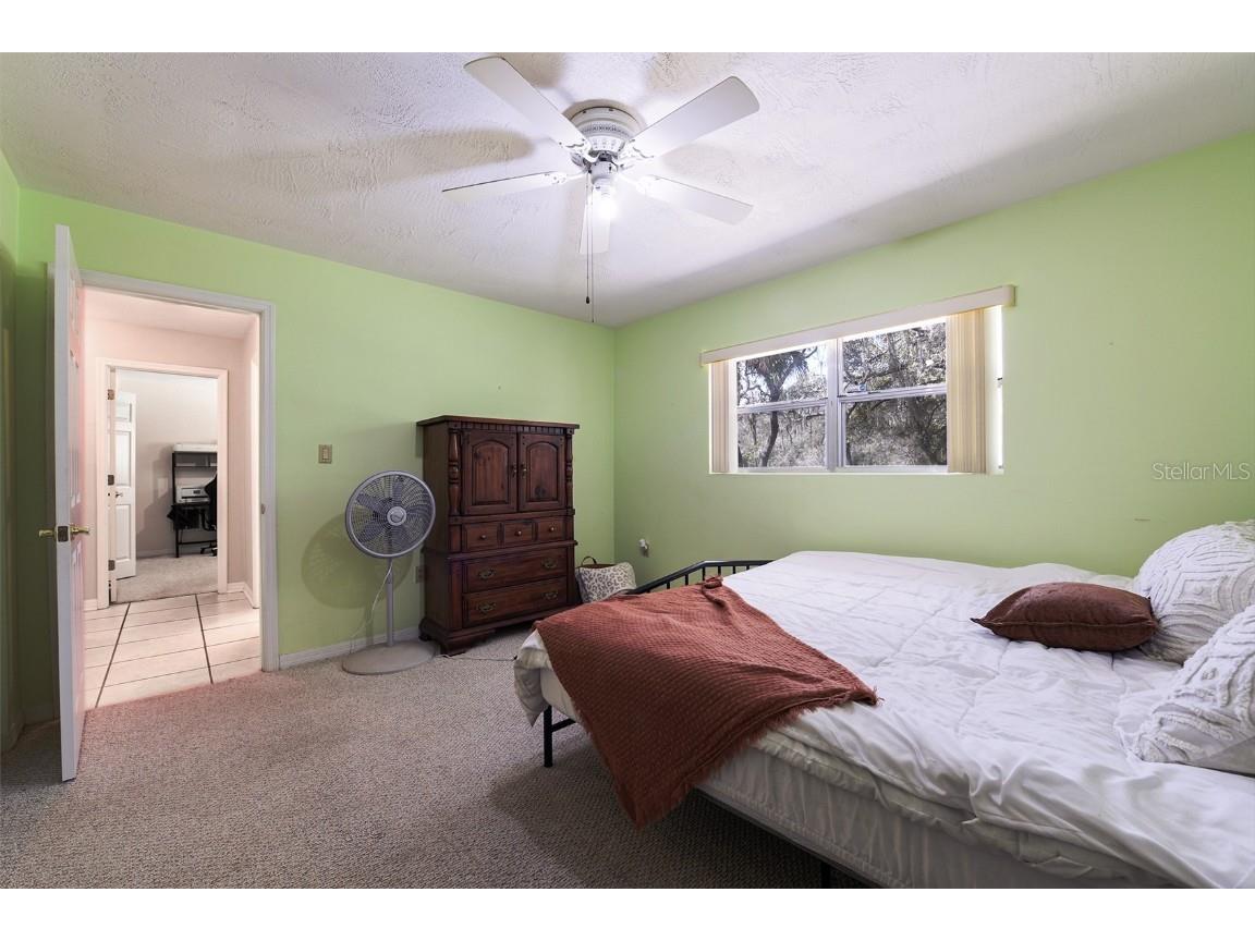 8976 Lake Drive New Port Richey FL 34654 TB8430996 image27