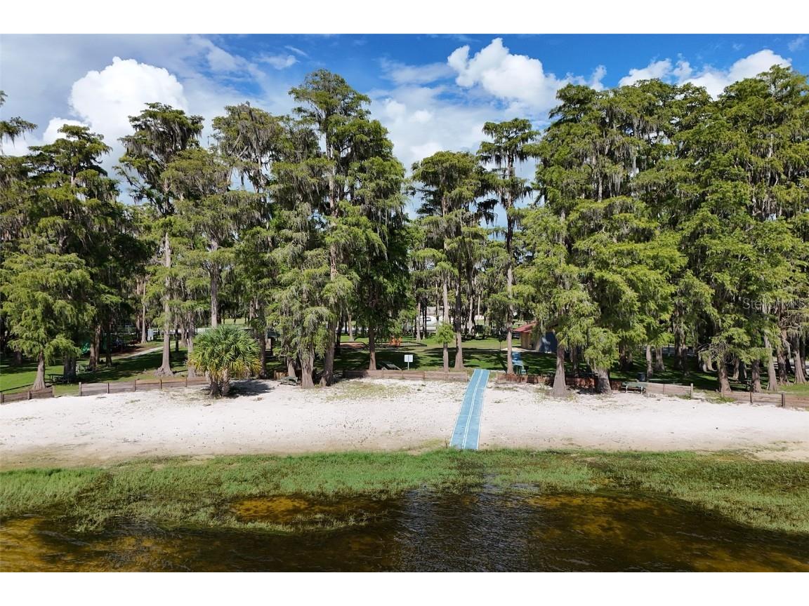 8976 Lake Drive New Port Richey FL 34654 TB8430996 image47