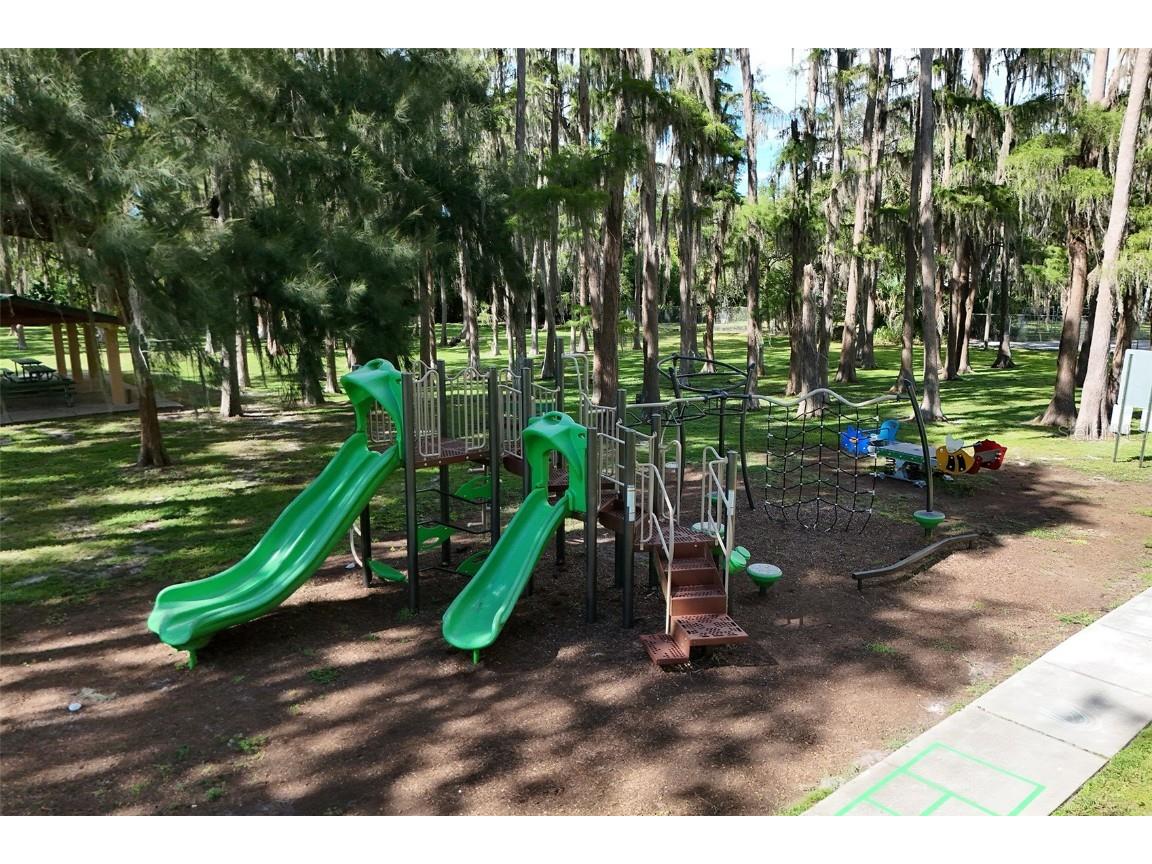 8976 Lake Drive New Port Richey FL 34654 TB8430996 image50