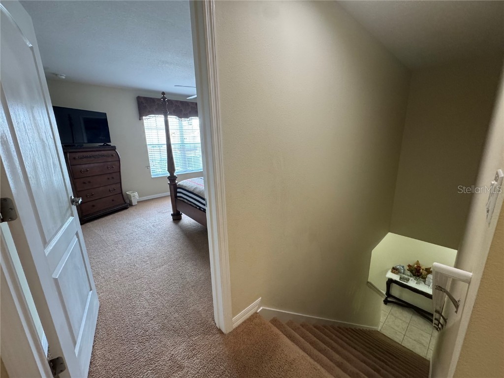 8977 Coco Palm Road Kissimmee FL 34747 G5097300 image17