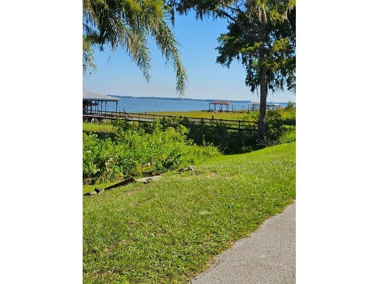 8977 Guava Street Yalaha FL 34797 OM665048 image1