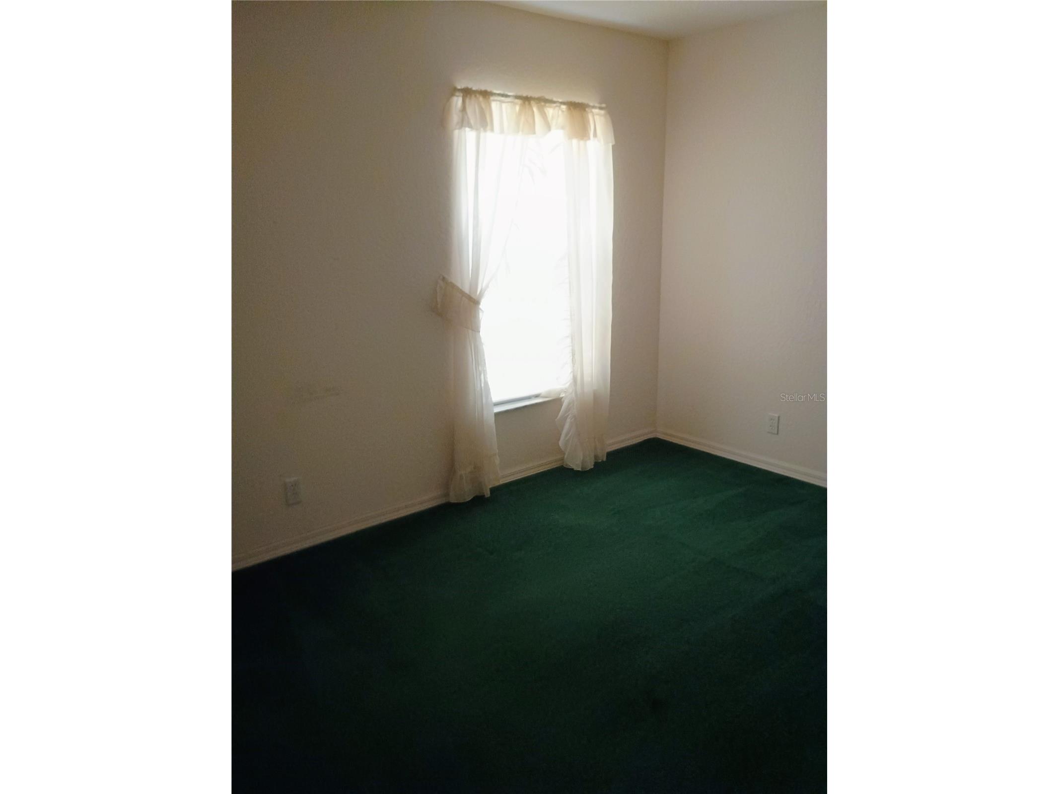 8977 Lake Drive New Port Richey FL 34654 W7878420 image16