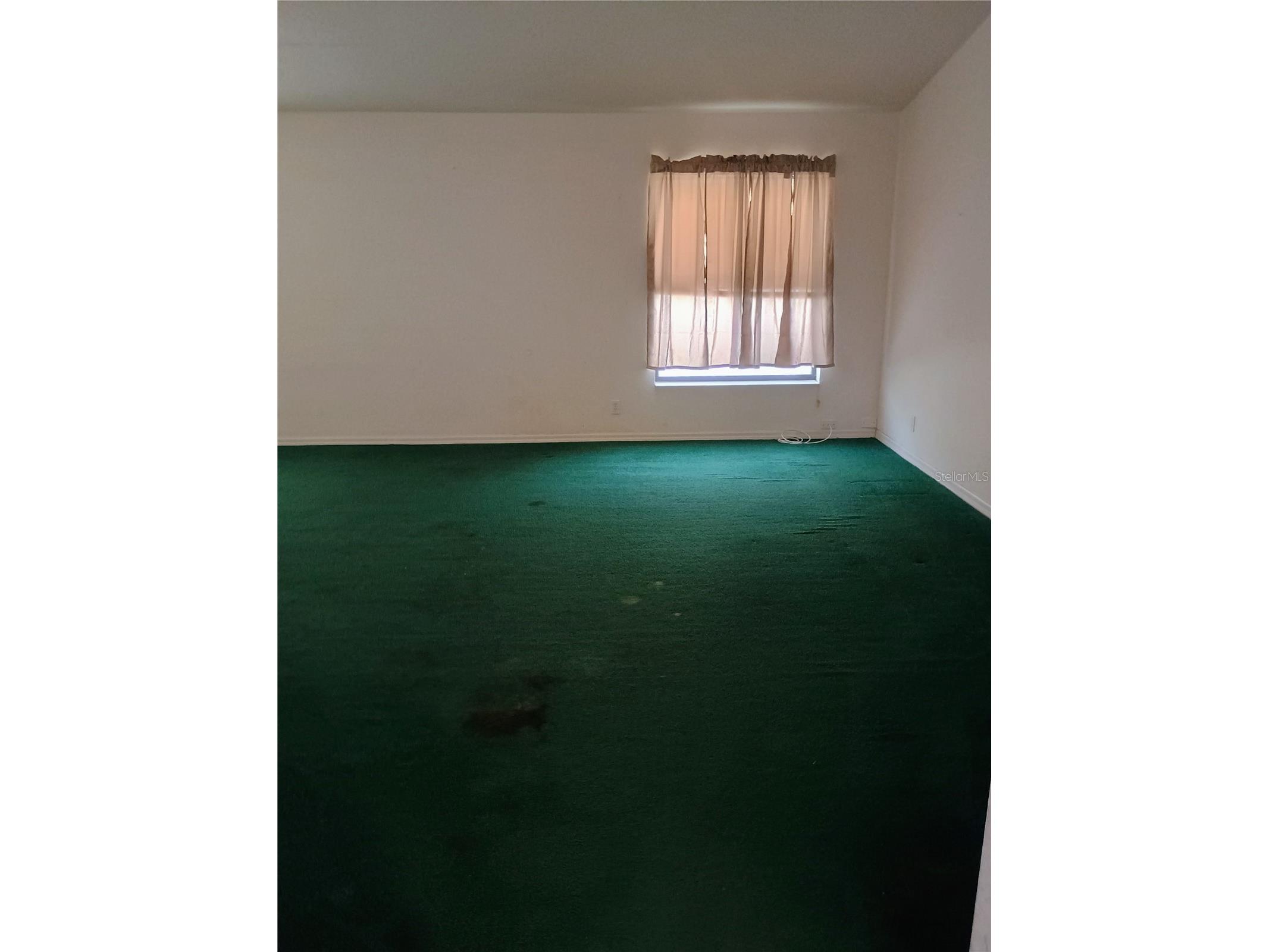 8977 Lake Drive New Port Richey FL 34654 W7878420 image18