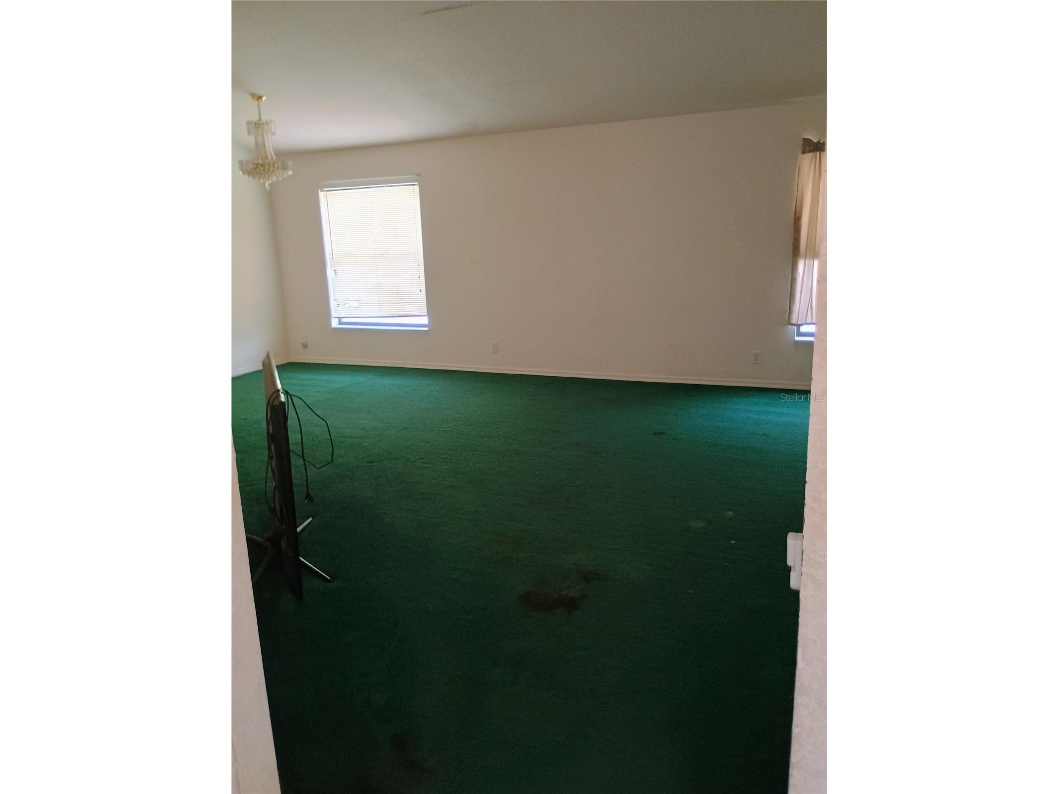 8977 Lake Drive New Port Richey FL 34654 W7878420 image19