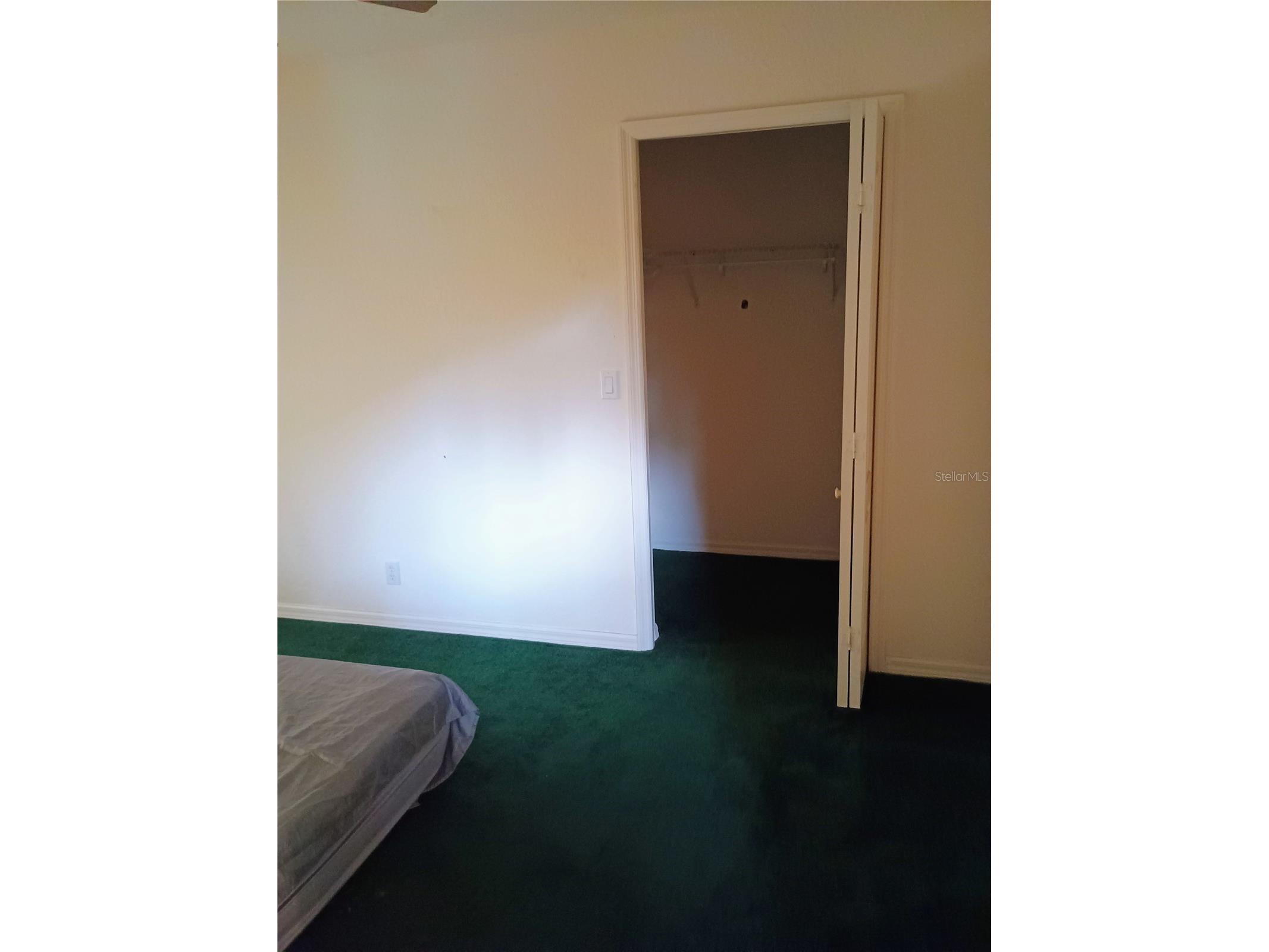 8977 Lake Drive New Port Richey FL 34654 W7878420 image28