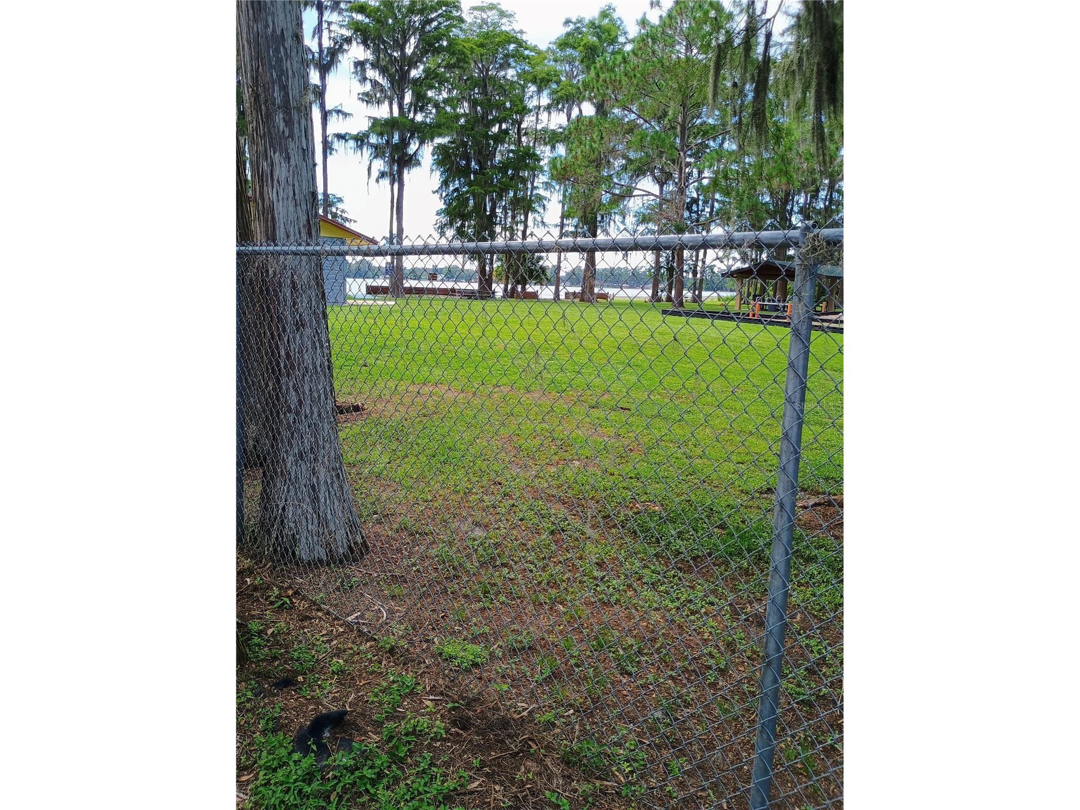 8977 Lake Drive New Port Richey FL 34654 W7878420 image34