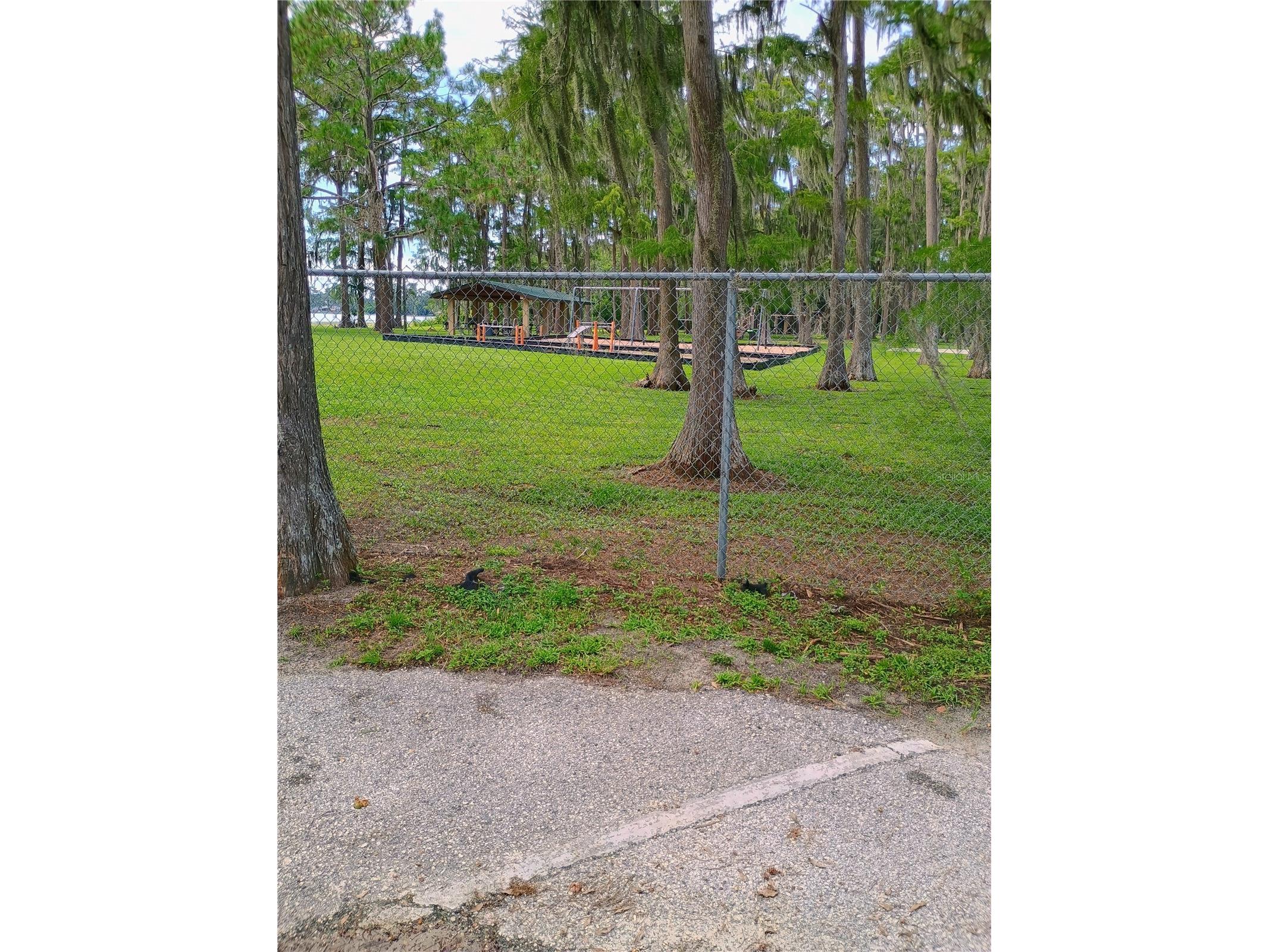 8977 Lake Drive New Port Richey FL 34654 W7878420 image37