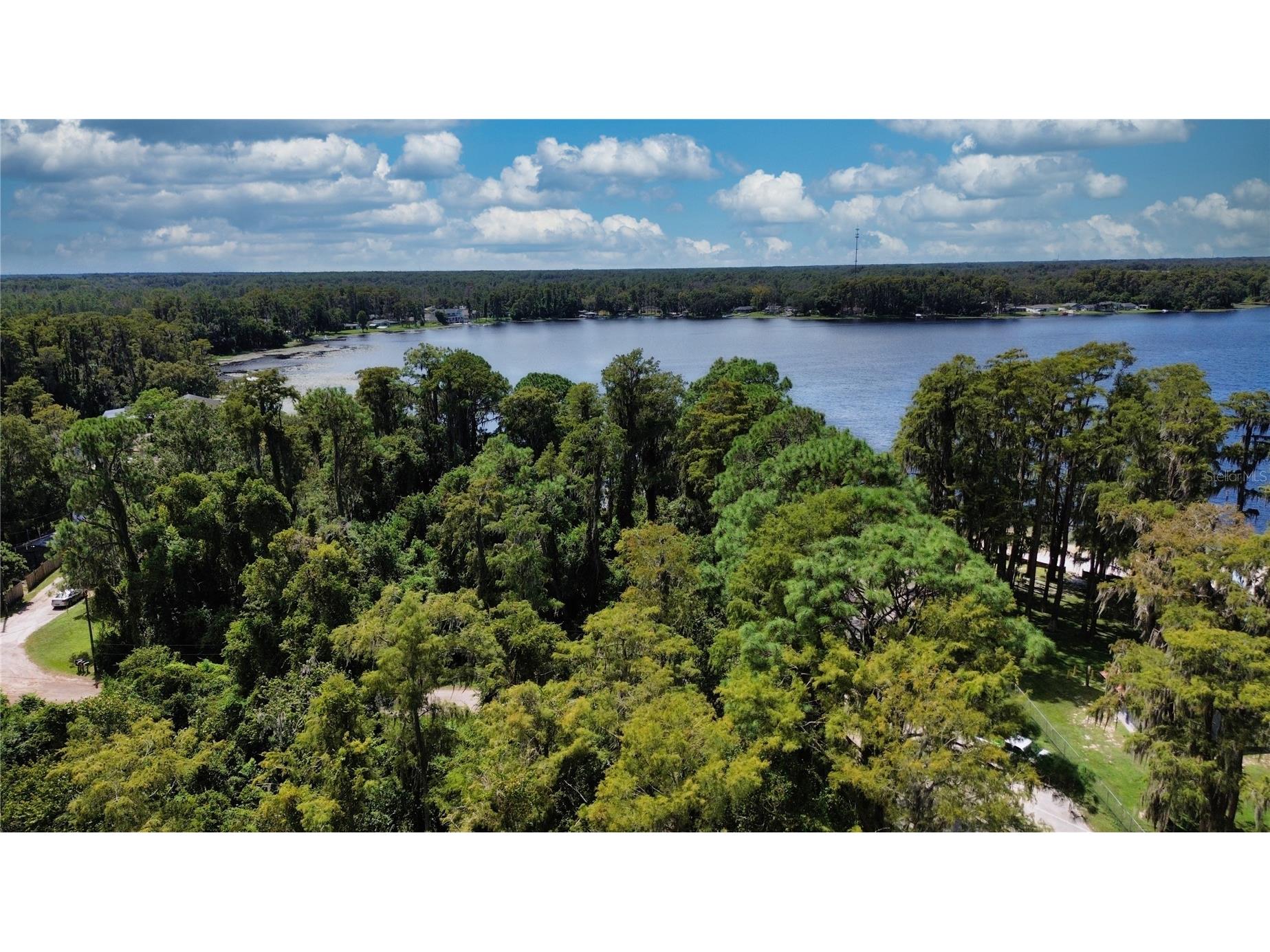 8977 Lake Drive New Port Richey FL 34654 W7878420 image8