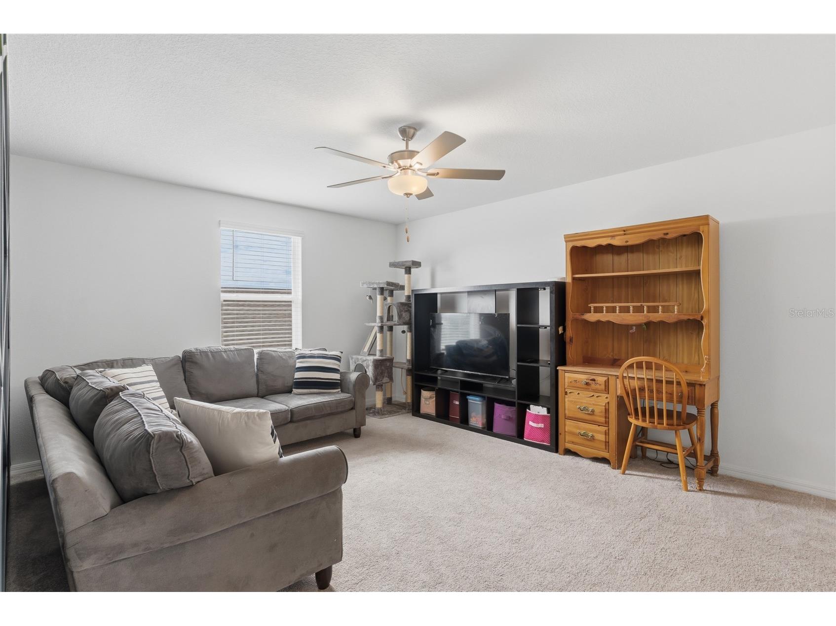 8977 Little Bluestem Drive Land O Lakes FL 34637 TB8501885 image28