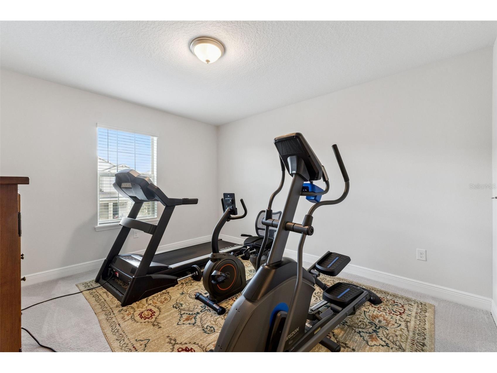 8978 Sonoma Coast Drive Winter Garden FL 34787 O6393744 image43