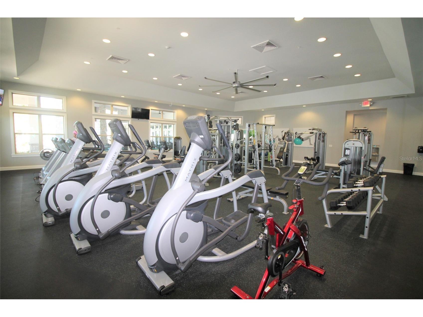 8978 Sonoma Coast Drive Winter Garden FL 34787 O6393744 image63