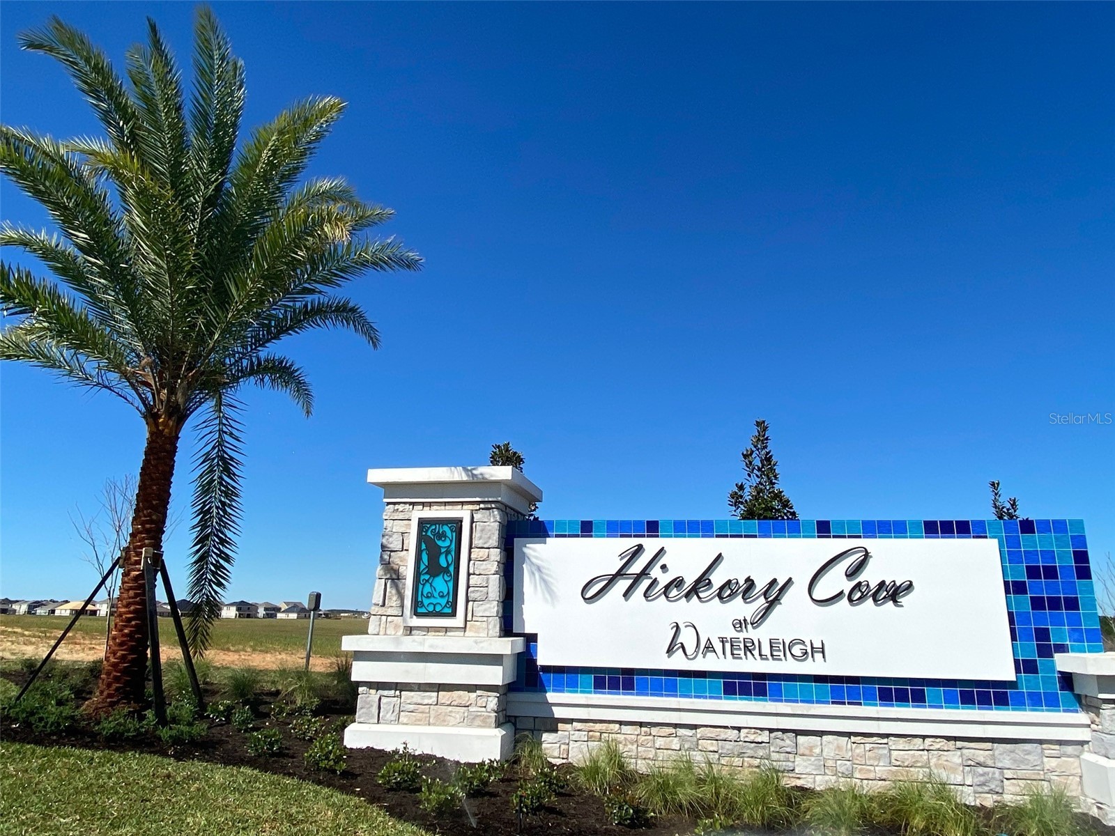 8978 Sonoma Coast Drive Winter Garden FL 34787 O6393744 image66