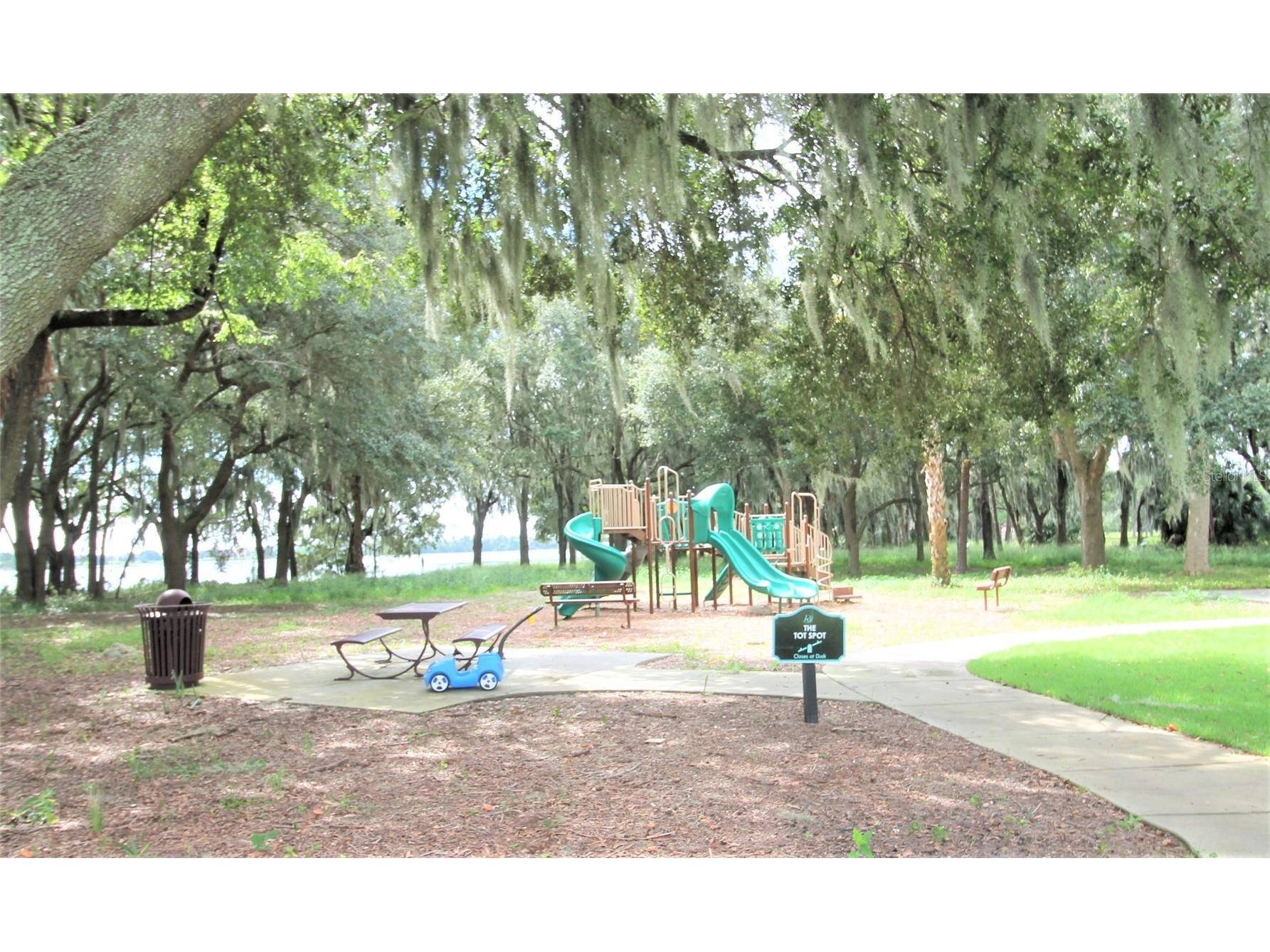 8978 Sonoma Coast Drive Winter Garden FL 34787 O6393744 image73