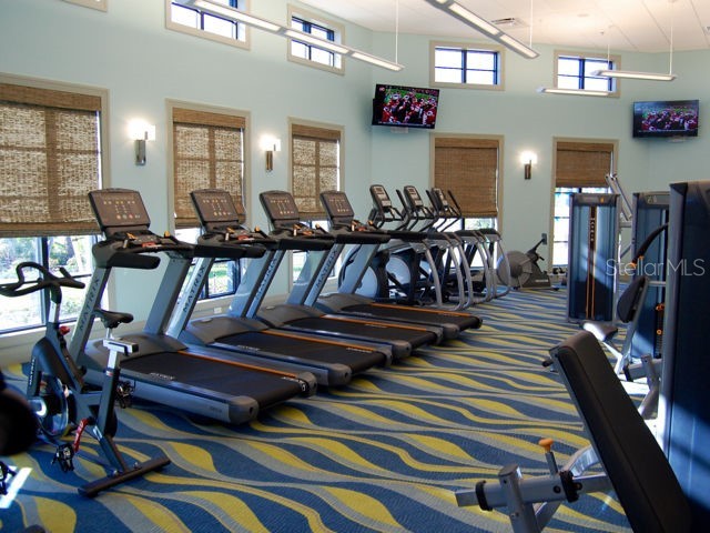 8979 Azalea Sands Lane Davenport FL 33896 O6262383 image24