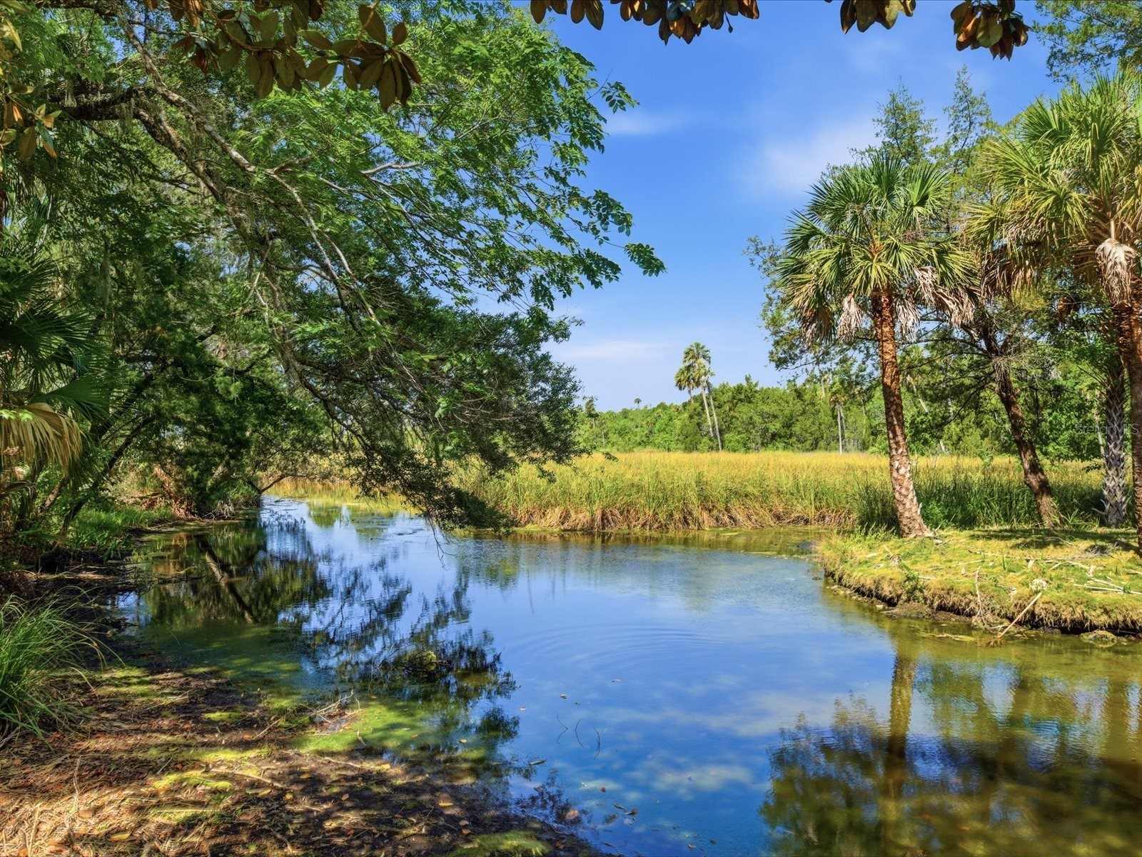 8979 W White Dogwood Drive Homosassa FL 34448 W7885090 image16