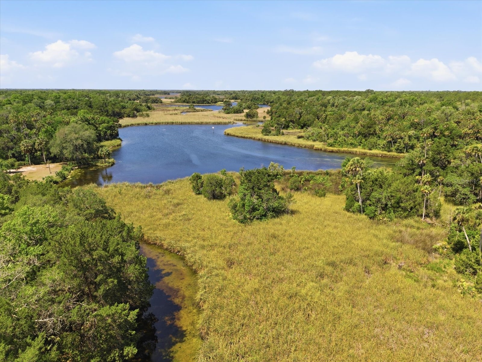 8979 W White Dogwood Drive Homosassa FL 34448 W7885090 image19