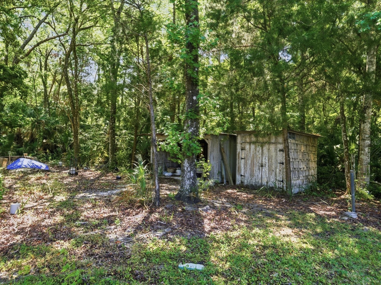 8979 W White Dogwood Drive Homosassa FL 34448 W7885090 image23
