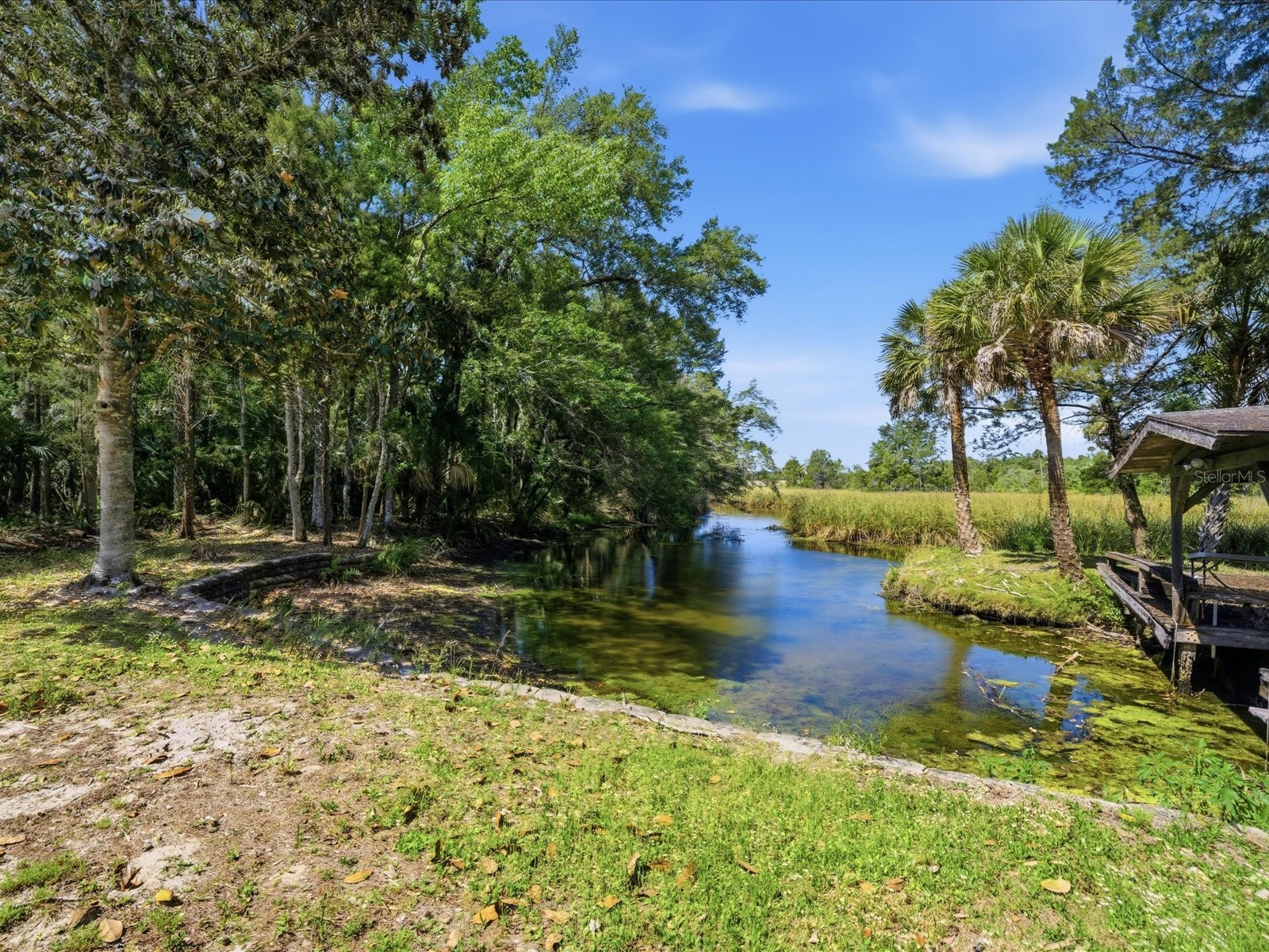 8979 W White Dogwood Drive Homosassa FL 34448 W7885090 image27