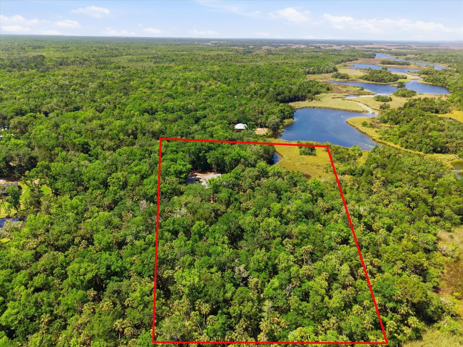 8979 W White Dogwood Drive Homosassa FL 34448 W7885090 image33