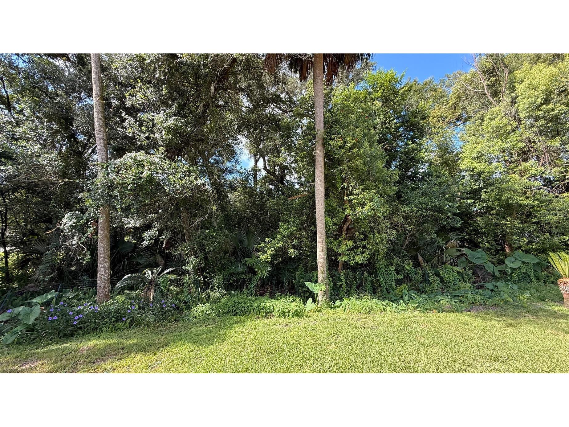 898 Crittenden Avenue Orange City FL 32763 O6423208 image39