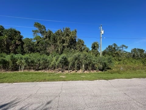 898 Hudson Valley Drive Poinciana FL 34759 O6068301 image1
