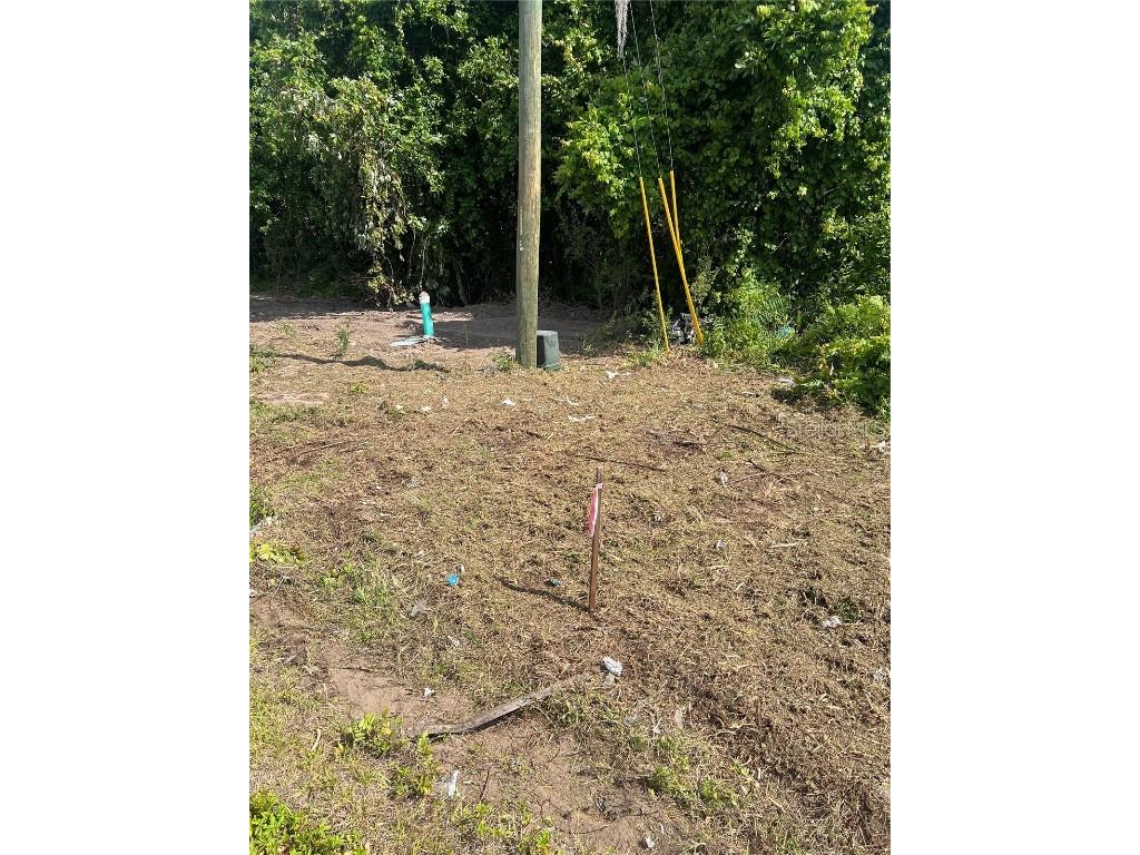 898 Hudson Valley Drive Poinciana FL 34759 O6167682 image1