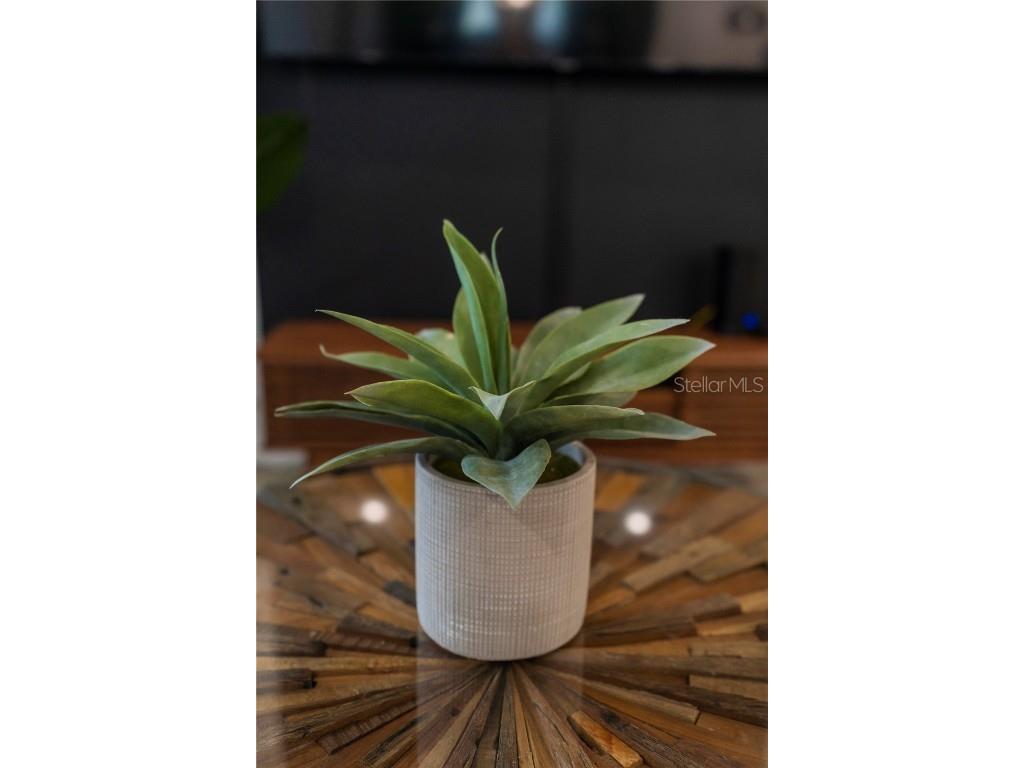 8981 Amelia Downs Trail Kissimmee FL 34747 O6336503 image27