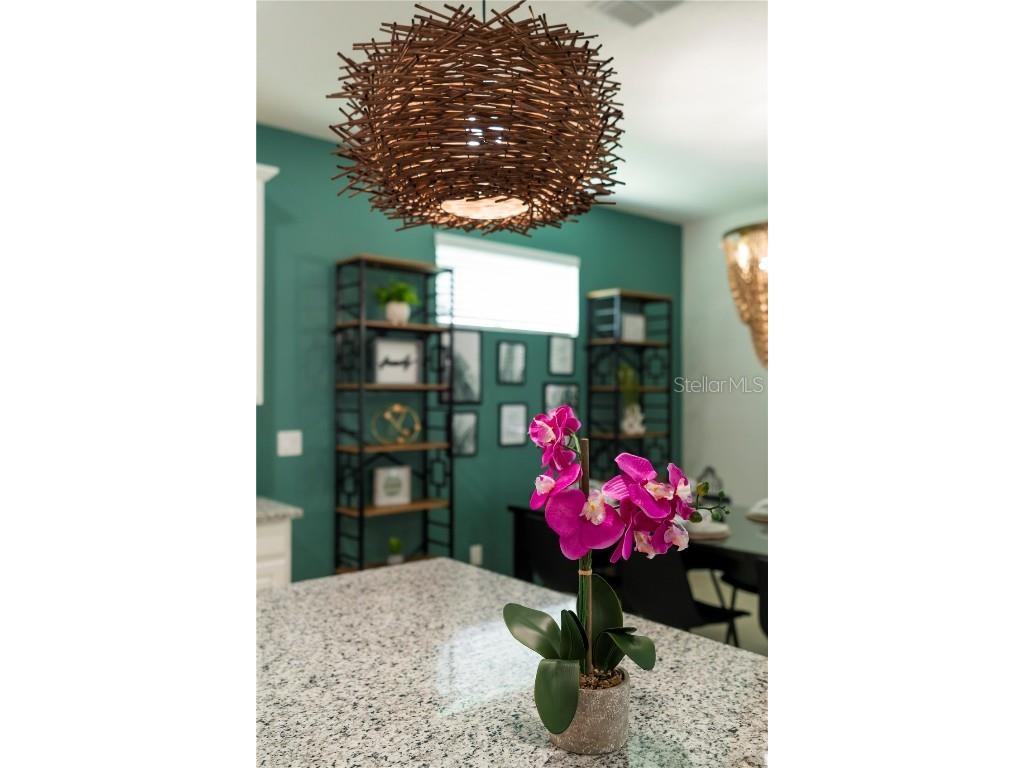 8981 Amelia Downs Trail Kissimmee FL 34747 O6336503 image35