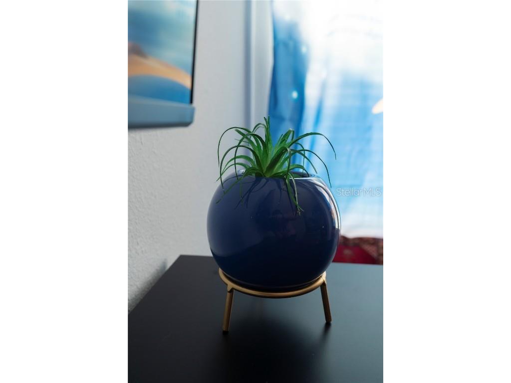 8981 Amelia Downs Trail Kissimmee FL 34747 O6336503 image52