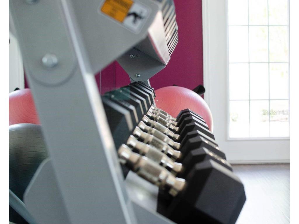 8981 Shine Drive Kissimmee FL 34747 S5124447 image19