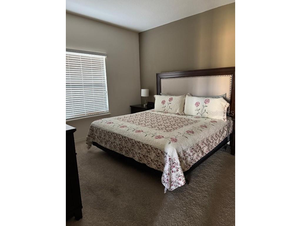 8981 Shine Drive Kissimmee FL 34747 S5124447 image7