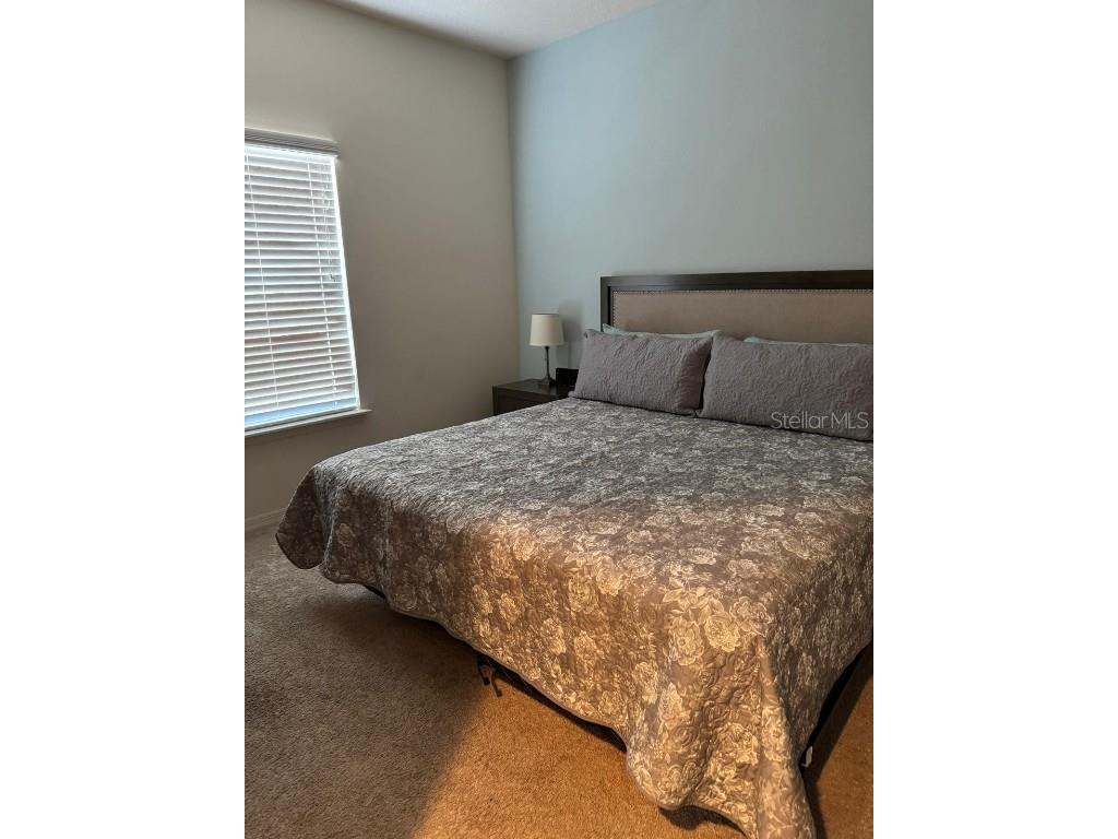 8981 Shine Drive Kissimmee FL 34747 S5124447 image9