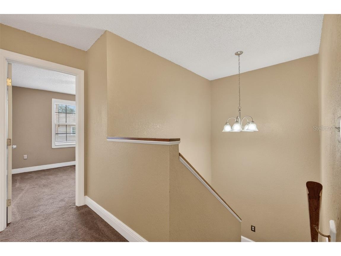 8984 Antigua Drive Seminole FL 33777 TB8454716 image21