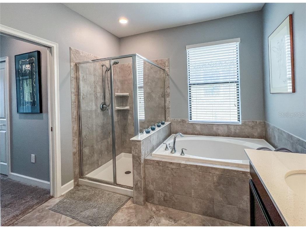 8984 Azalea Sands Lane #8984 Davenport FL 33896 TB8433264 image29