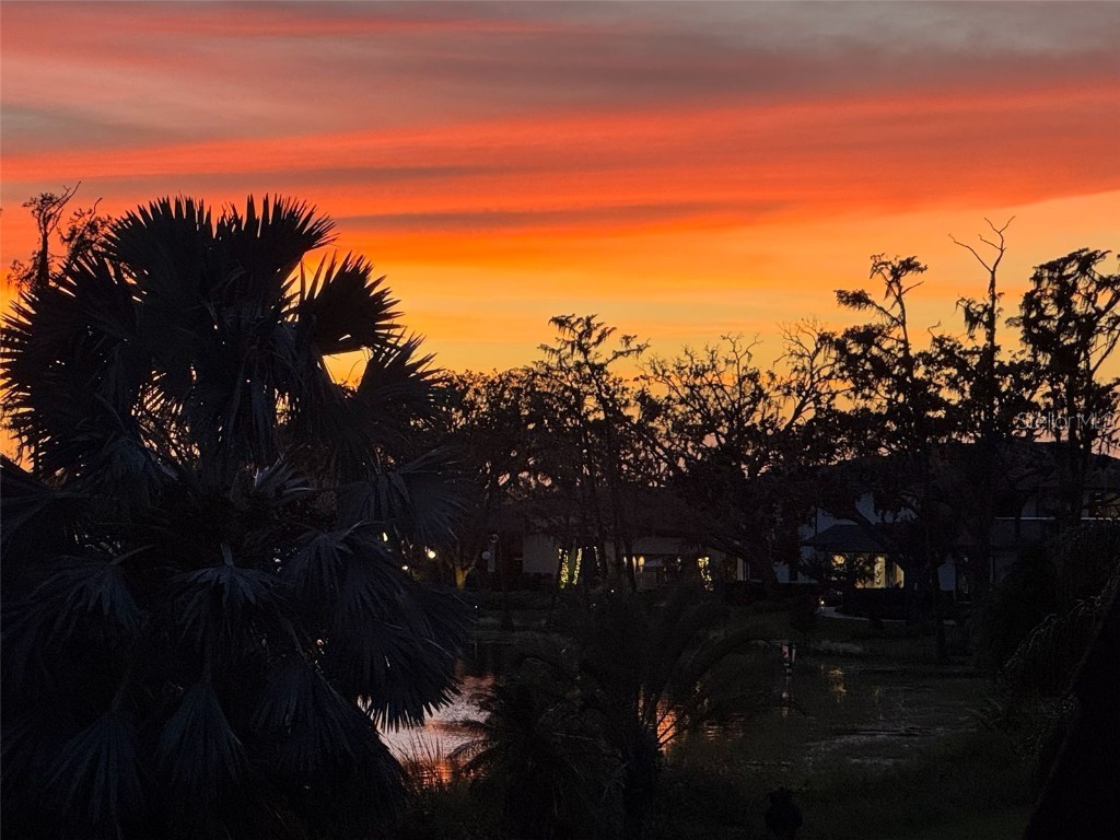 8984 Houston Place #103 Orlando FL 32819 - LAKE BUTLER CHAIN OF LAKES O6251392 image29