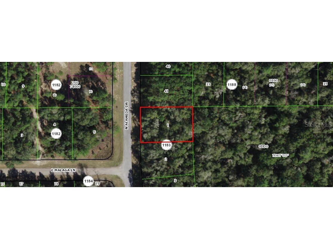 8987 N Alameda Drive Citrus Springs FL 34434 OM653502 image1