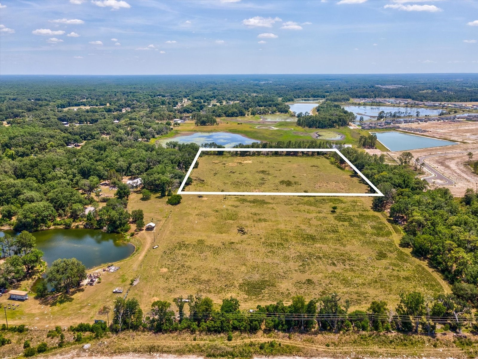 8989 Ehren Cutoff Land O Lakes FL 34639 TB8415722 image10