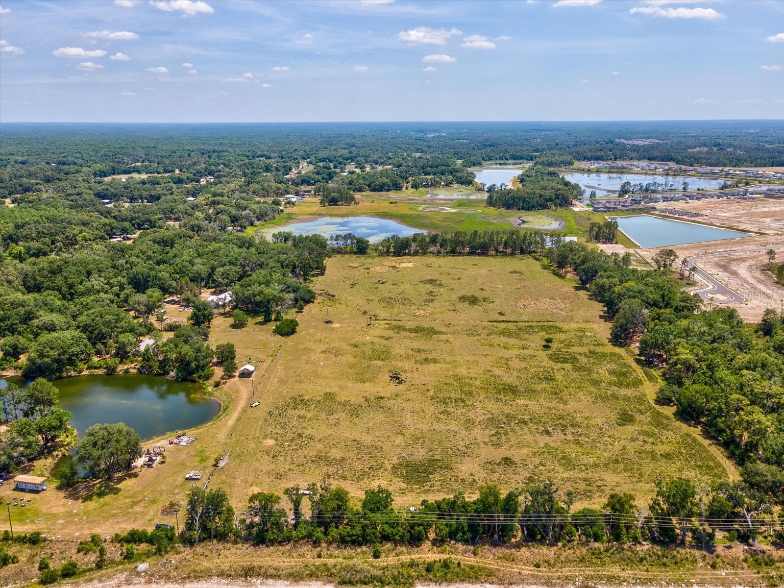 8989 Ehren Cutoff Land O Lakes FL 34639 TB8415722 image14