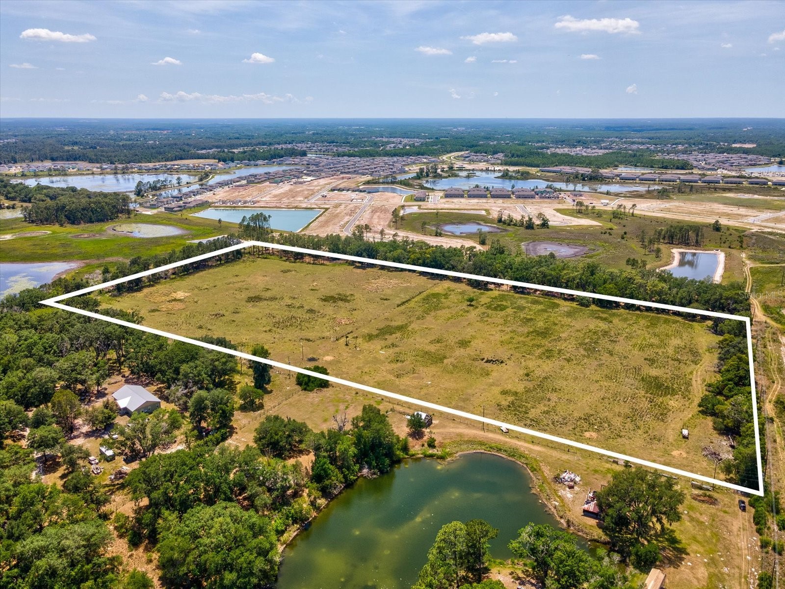 8989 Ehren Cutoff Land O Lakes FL 34639 TB8415722 image15