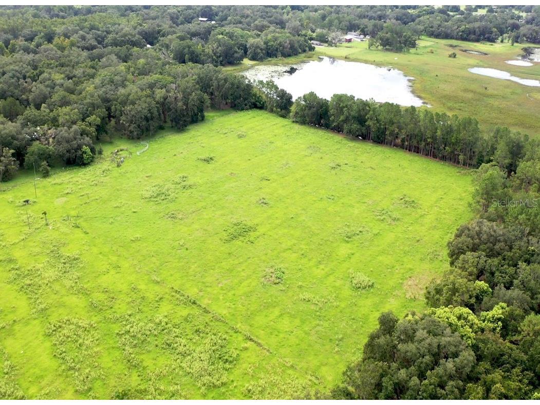 8989 Ehren Cutoff Land O Lakes FL 34639 TB8415722 image2