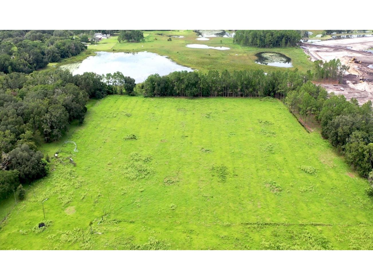 8989 Ehren Cutoff Land O Lakes FL 34639 TB8415722 image3