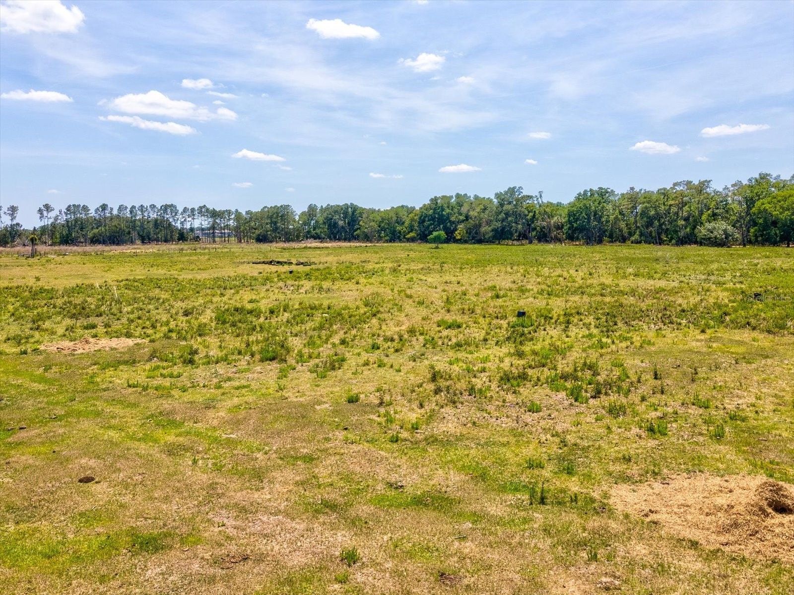 8989 Ehren Cutoff Land O Lakes FL 34639 TB8415722 image9