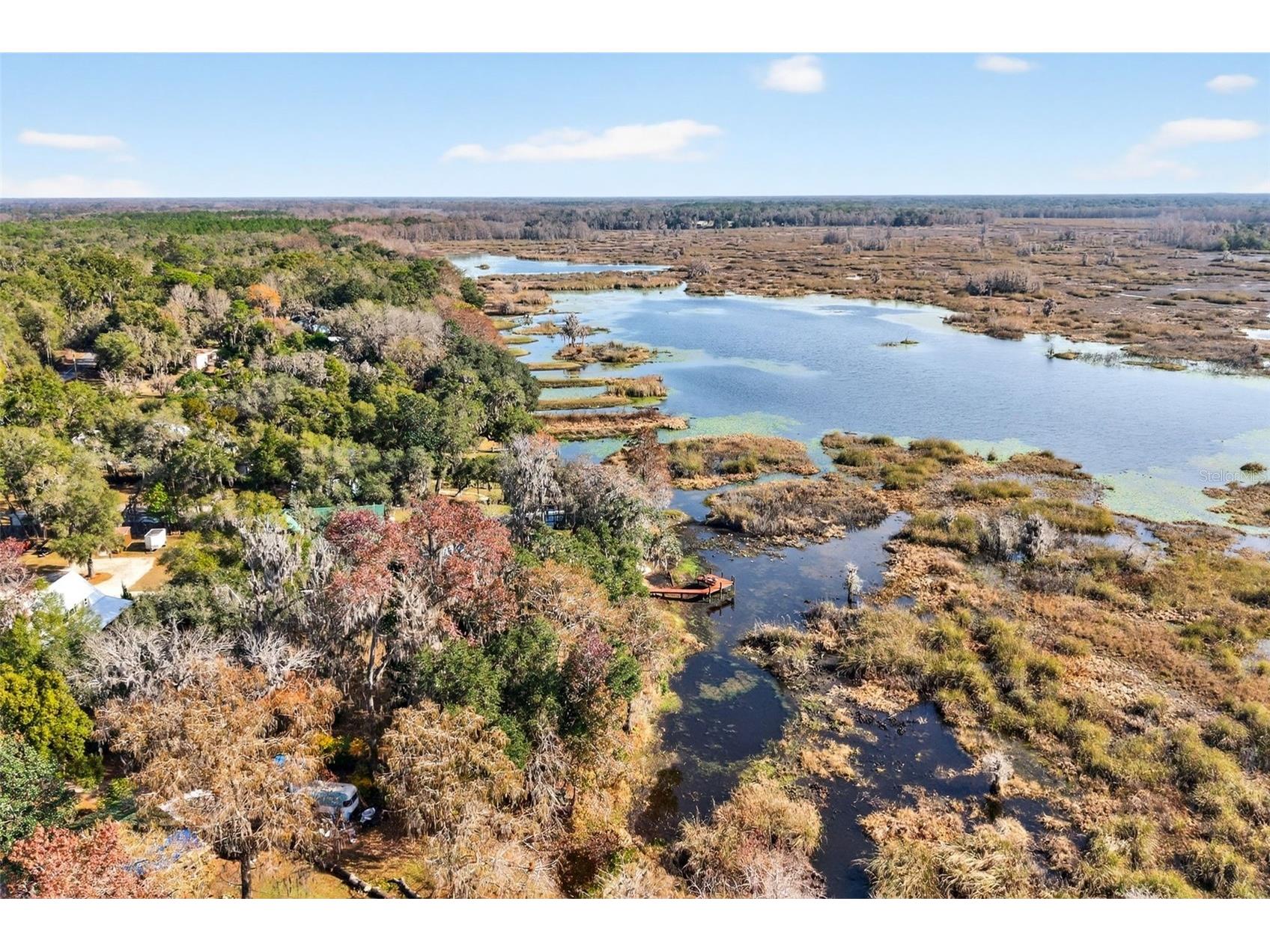 8989 S Great Oaks Drive Floral City FL 34436 - Bradley Lake OM716983 image11
